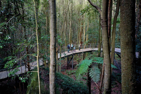 Sydney: Tour del Parco Nazionale delle Blue Mountains con crociera sul fiume