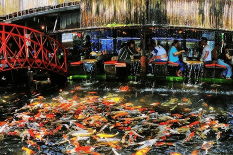 Chiang Mai: Bamboo Rafting, Elephant Feeding & Carp Café