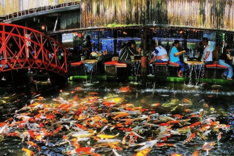 Chiang Mai: Bamboo Rafting, Elephant Feeding & Carp Café