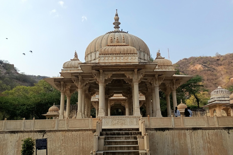 Jaipur: Sightseeing Privat dagstur med Tuk Tuk