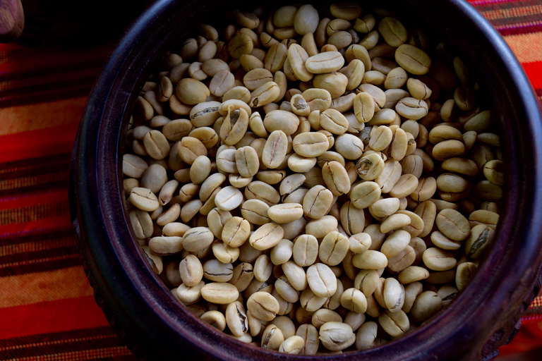 Arusha : Visite des cafés et/ou cours de poterie avec déjeunerTournée des cafés