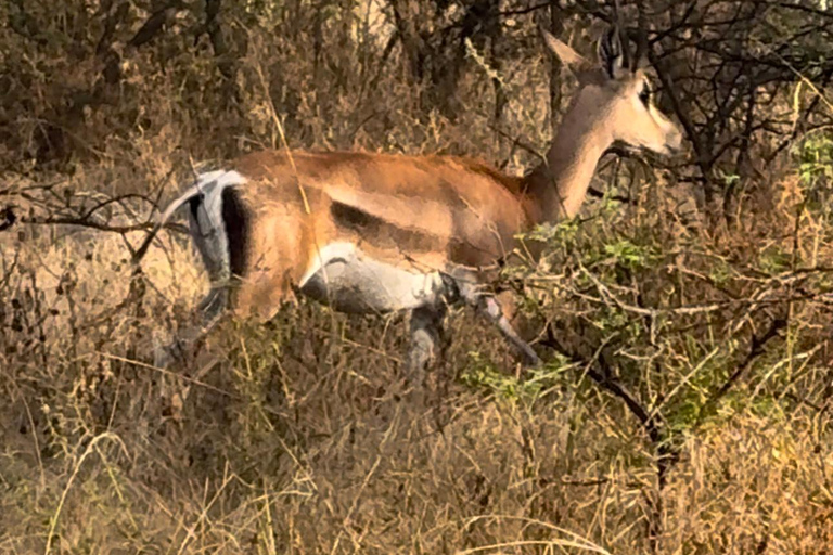 Addis Ababa: 6-Day Bale Mountains Trekking Tour