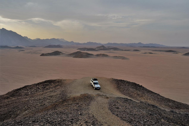 Hurghada: Quad Bike, Buggy, Jeep Safari, Camel Ride &amp; Dinnerpickup from hotels inside hurghada