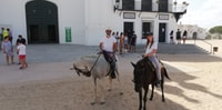 Tre ore di equitazione per il parco nazionale e il villaggio di rocio - Hizvo