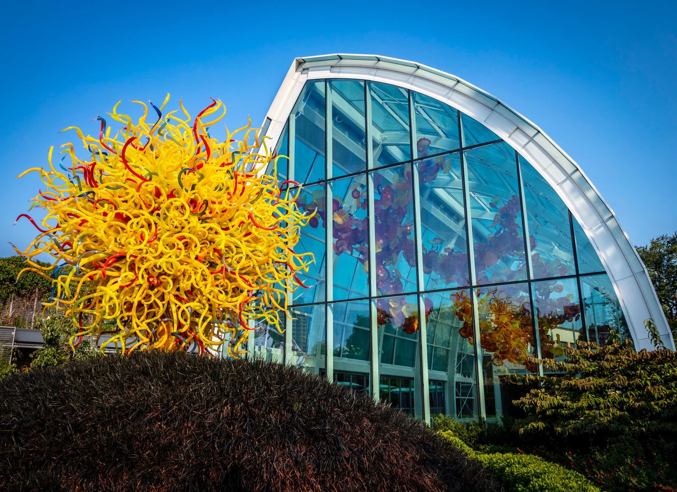 Seattle: Billet til Space Needle og Chihuly Garden and Glass