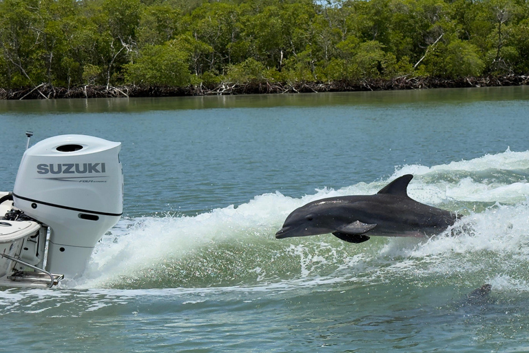 Marco Island: Dolphin, Shelling, Beach & Ten Thousand Island 4 Hour Option