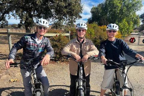 Santa Barbara : Visite de la région viticole en E-Bike avec dégustations et déjeuner