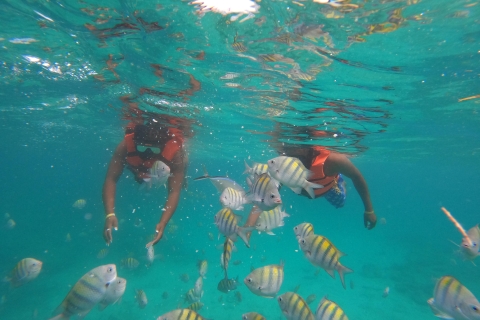 Punta Cana: Rejs katamaranem na wyspę Catalina z nurkowaniem z rurką