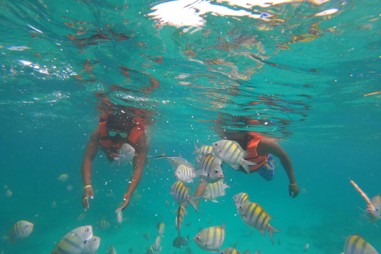 Visite d'une jounée de l'île de Saona avec déjeuner dominicain