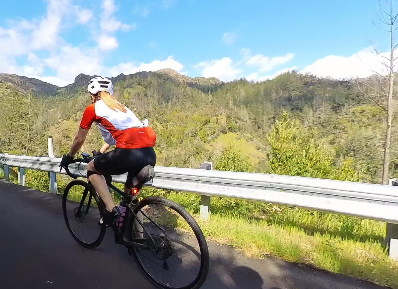 Napa/Sonoma: Guidet tur for cykelentusiaster