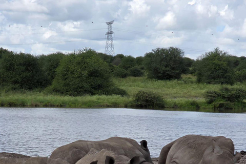 Nairobi National Park Safari 4x4 Car–Personalized Experience Shared Guided Game Open roofed 4x4 Van
