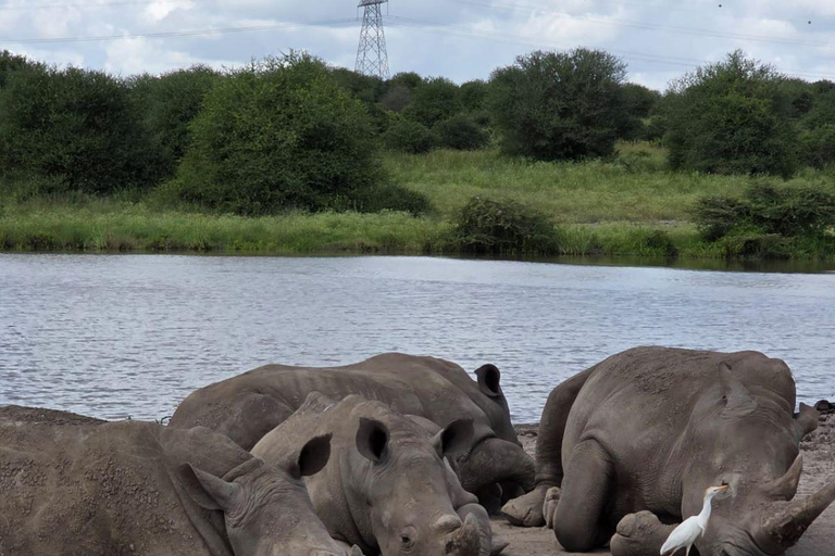 Nairobi National Park Safari 4x4 Car–Personalized Experience Shared Guided Game Open roofed 4x4 Van