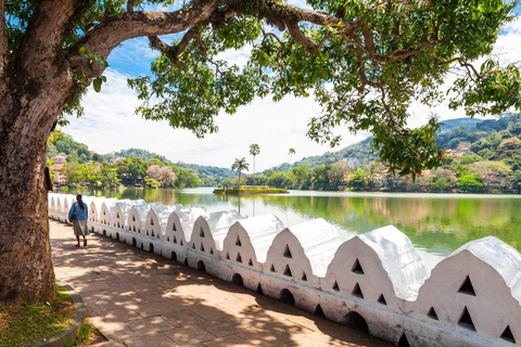 Kandy Tagestour von Colombo mit Auto / Van