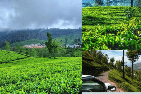 Sri Lanka : Circuit de découverte de la côte sud à la capitale de la culture