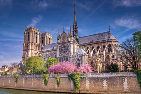 Paris Half-Day: 30+ or 15+ Sights, Eiffel, Montmartre & more Paris: See 30+ Top Sights with a Fun Guide