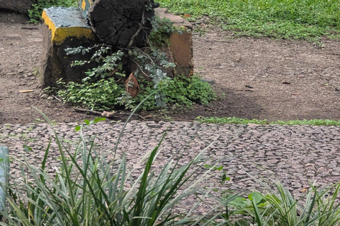 Victoria Falls: Family-Friendly Guided Walking Tour