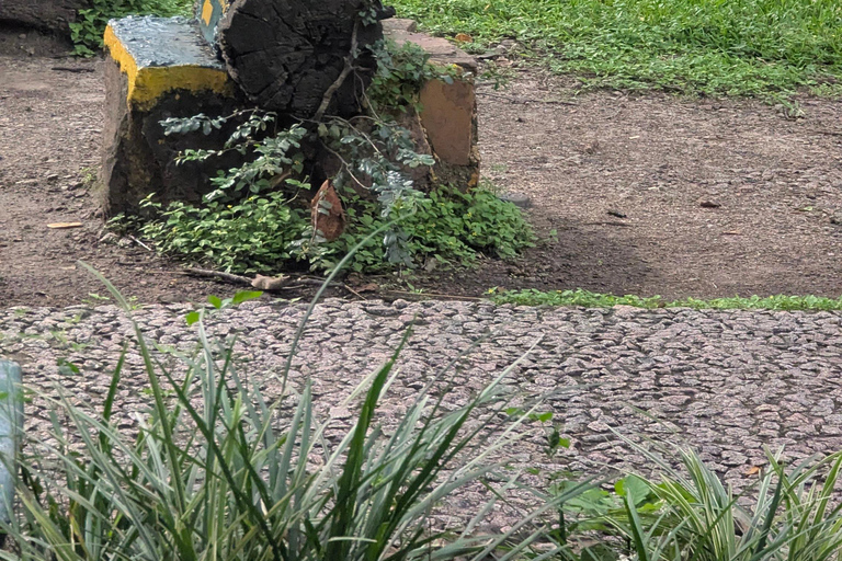 Victoria Falls: Family-Friendly Guided Walking Tour