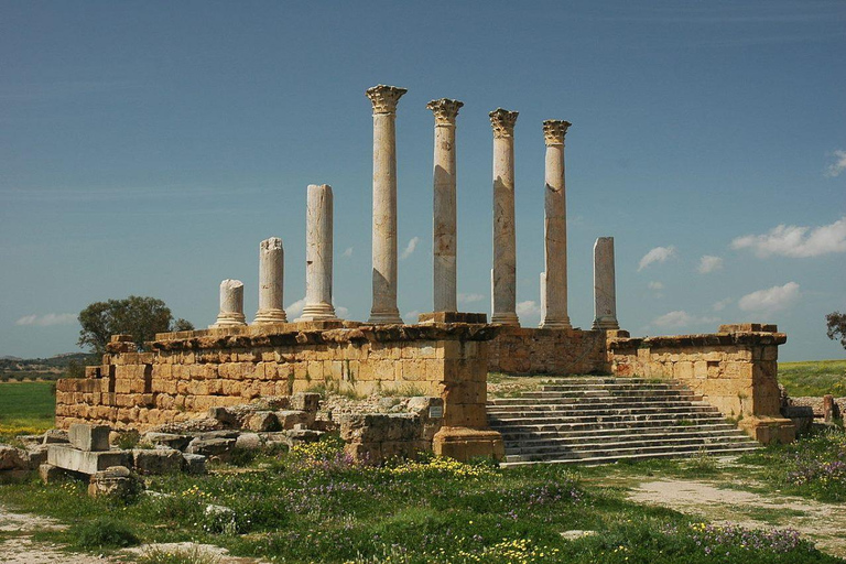 From Tunis: Oudhna, Zaghouane, Thuburbo Majus