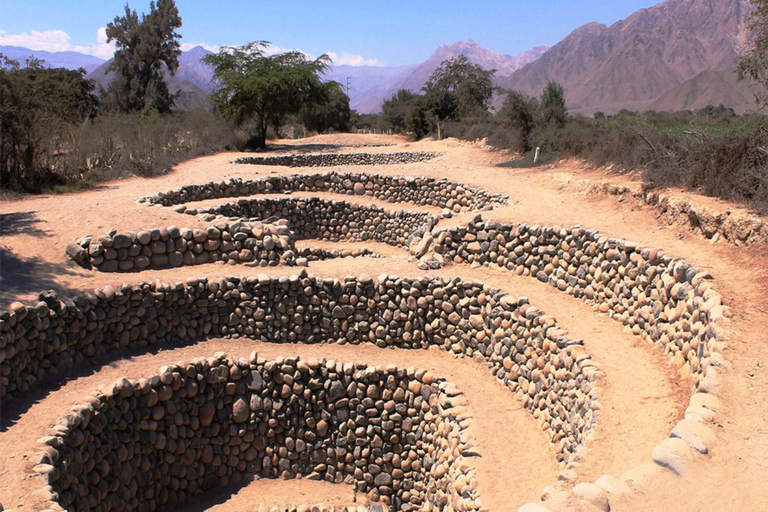 Nazca Archaeological Tour