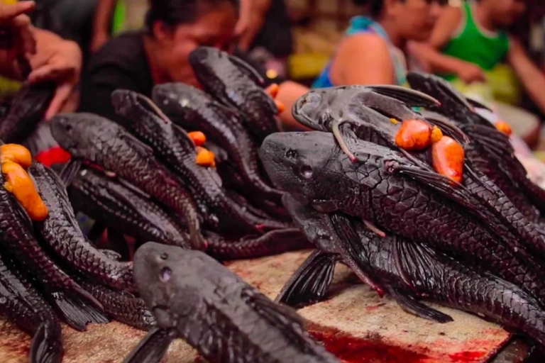 Iquitos: Besuch des exotischen Belén-Marktes + Venedig Loretana