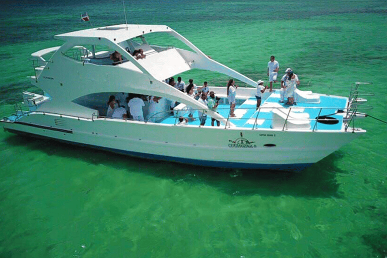Punta Cana: Saona Island Catamaran Cruise with Lunch