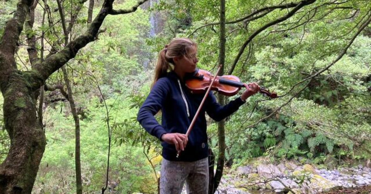 Madeira Live Violin Concert in Laurissilva Forest GetYourGuide