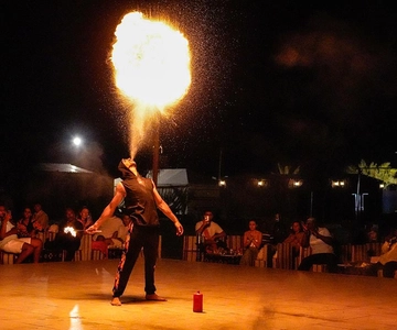 Dubai: Desert Safari, Camel Ride, Show & Optional Dinner