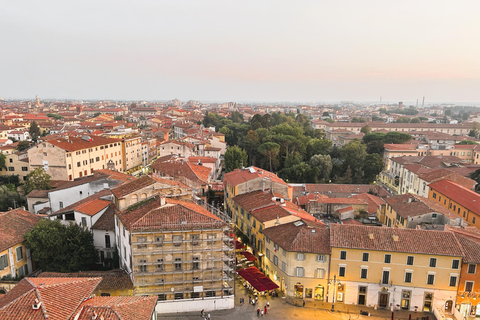 Entrada con horario limitado a la Torre Inclinada de Pisa y la Catedral con audioEntrada Cronometrada a la Torre Inclinada de Pisa y a la Catedral con Audio