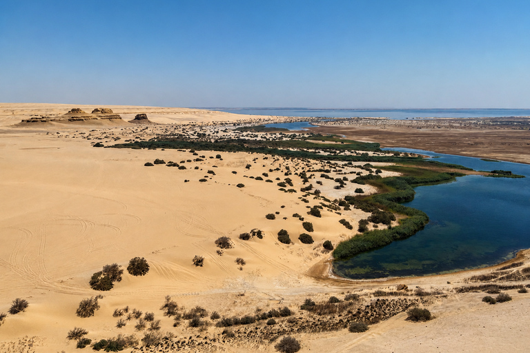 From Cairo: 4x4 Desert Safari, Waterfalls & Magic Lake Shared Tour: Wadi El Rayan, Magic Lake & Lake Qarun, Jeep