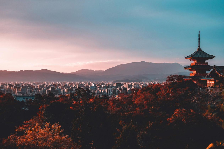 Kyoto: Private Customizable Tour with Driver and Guide