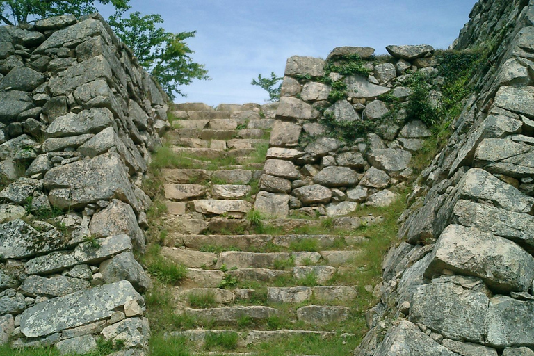 Hyogo: Takeda Castle “Castle in Sky” Mountain Hiking Tour
