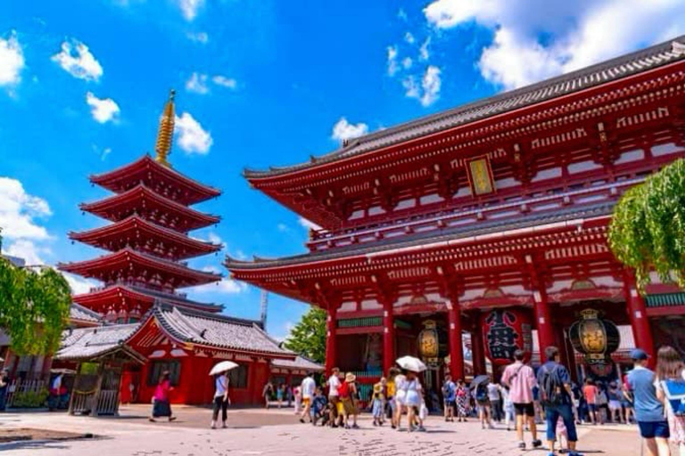 Tokyo One Day Private Tour mit englischsprachigem Fahrer