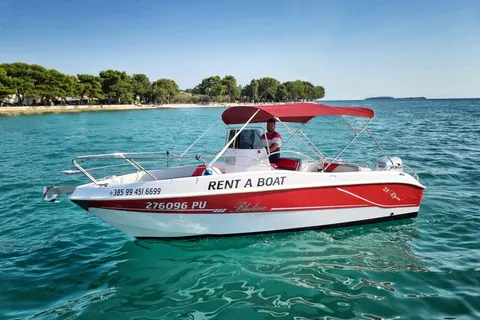 From Fazana: Private sunset dolphin tour