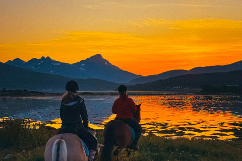 Tromsø: Arctic Midnight Sun Horseback Ride