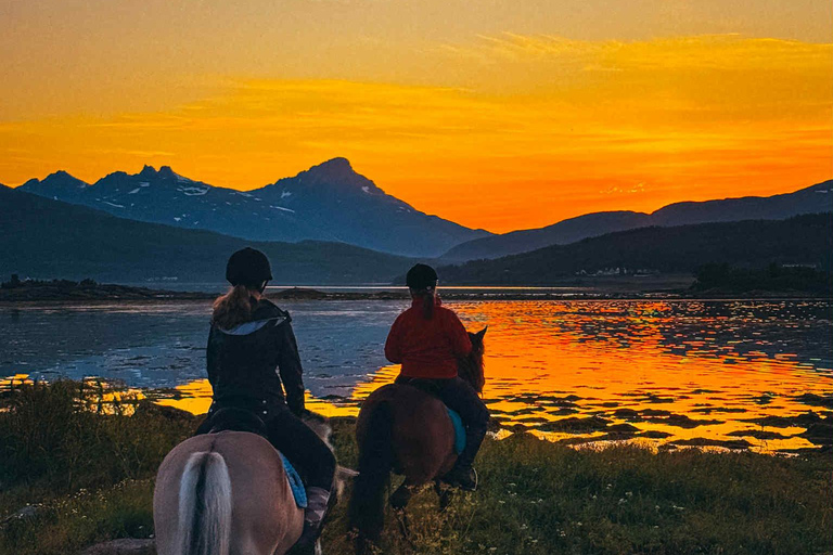 Tromsø: Arctic Midnight Sun Horseback Ride