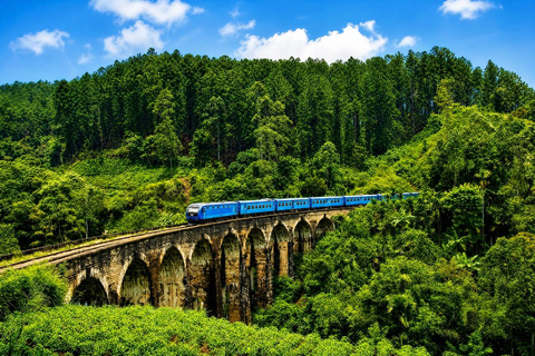 Kandy : Nanu Oya - Ella Train Ride With Private Car & Guide