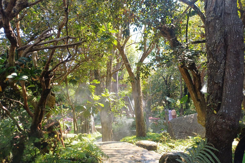 Chiang Mai: Sticky Waterfall, Big Pagoda, and Angels Land