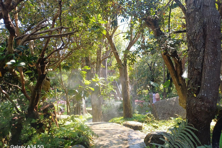 Chiang Mai: Sticky Waterfall, Big Pagoda, and Angels Land