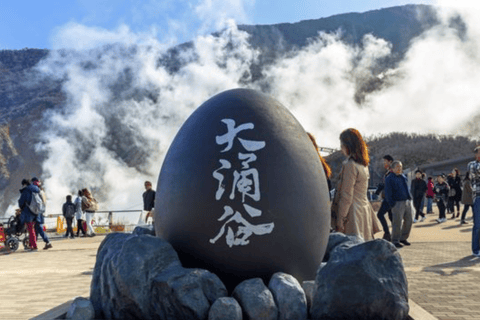 From Tokyo: Mount Fuji Full Day Customizable Private Tour