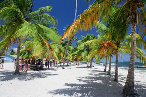 Punta Cana: Isla Saona Premium Mano Juan and exclusive beach