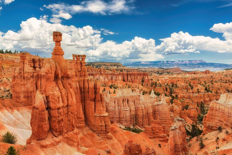 From LA: 7 Southwest Wonders in 5 Days — Small-Group Tour 4 people in 1 Hotel Room