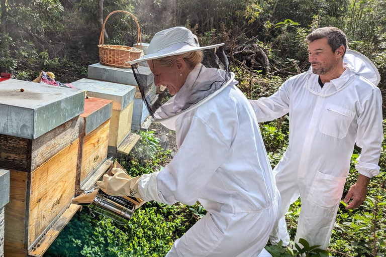 Terceira Island: Full-Day Honey, Mountains & Cheese Tour