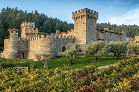 From San Jose: Small Group Napa & Sonoma Valley Wine Tour