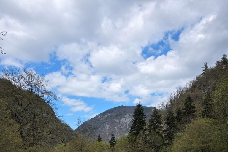 Hiking the Secret Rkoni: Historic Path & Forest Picnic