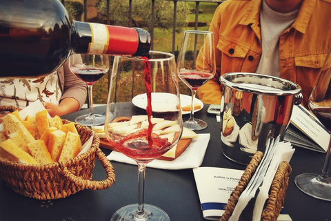 Winery tour and Tuscan wine tasting with culinary specialties