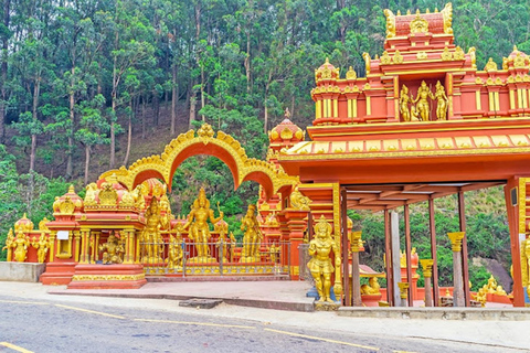 Ella To Nuwara Eliya Transfer with Temples, Gardens & Lake