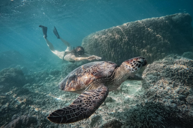 Gili Trawangan: Grupowa lub prywatna wycieczka z nurkowaniem na wyspie Gili5,5-godzinna wycieczka nurkowa Deluxe Group z GoPro