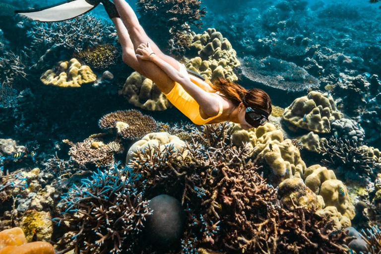 Phuket/Khao lak: Similan Islands Speed Catamaran Day Trip Speed catamaran Trip withPickup(Excludes National Park Fee)