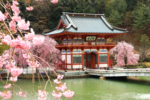 Osaka/Kyoto: Katsuoji & Arashiyama & Kinkakuji Day Tour 9:00 AM Depart from Kyoto