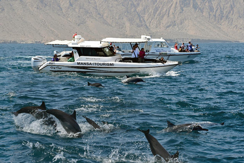 Muscat Dolphin Watching, Snorkeling & Kayaking Adventure